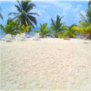 Anchorage Resort Caye Caulker Eksteriør bilde